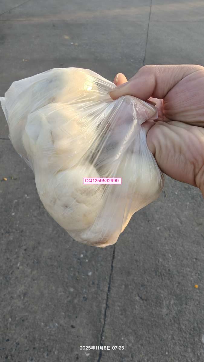 清晨七点二十五分的温度-神人佛8客