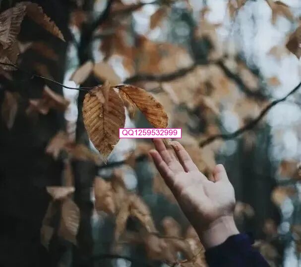 终身受益的五句话！-神人佛8客