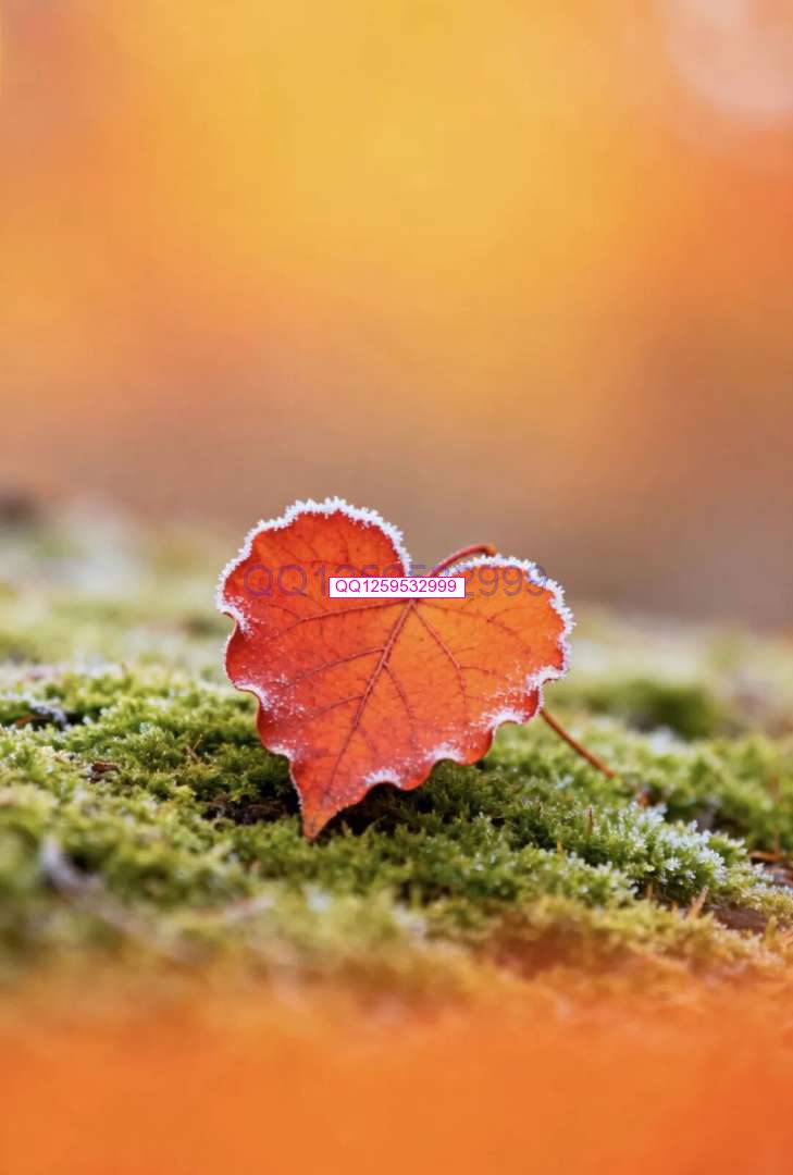 “男人无能，一看便知”：没出息的男人，离不开这三句话-神人佛8客