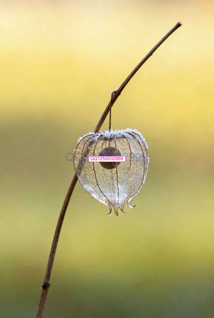 图片[4]-“男人无能，一看便知”：没出息的男人，离不开这三句话-神人佛8客