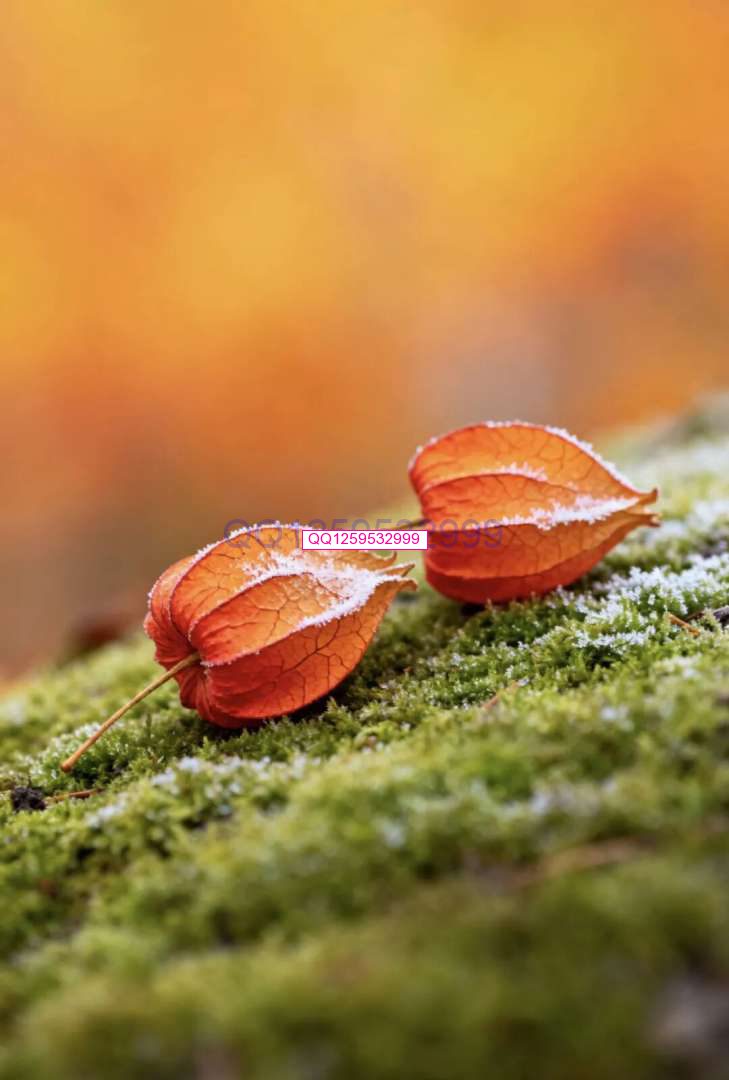 图片[3]-“男人无能，一看便知”：没出息的男人，离不开这三句话-神人佛8客