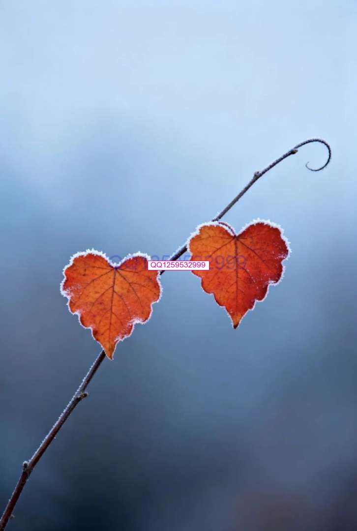 图片[2]-“男人无能，一看便知”：没出息的男人，离不开这三句话-神人佛8客